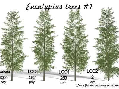 Eucalyptus tree 1 Low-poly 3D model
