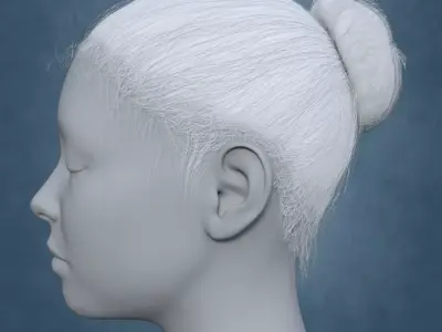 Updo Hair DAZ Studio Low-poly 3D model