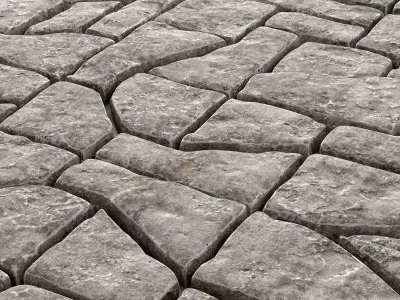 Paving stone old 3D model purchase