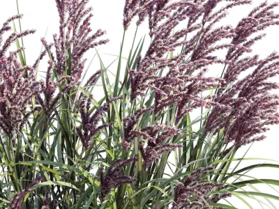 Porcelain pot one 3D model