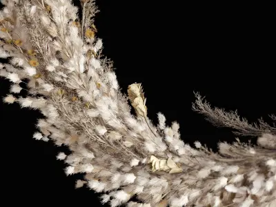 Wall hanging Pampas Ring 3D model