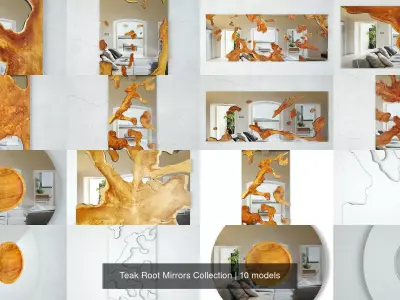 Teak Root Mirrors Collection 3D Model Pack