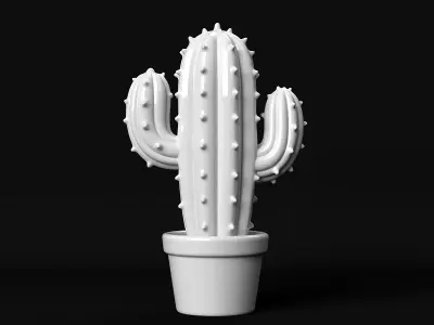 Cactus 3D print model