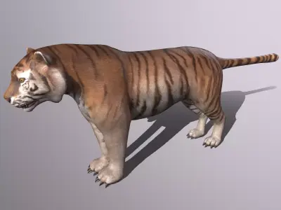 tiger Low-poly 3D model
