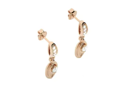 Light wt Women Diamond Earrings  3D print model