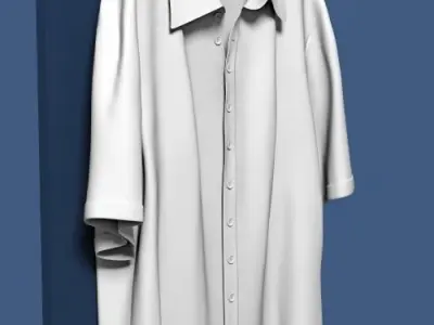 Shirt on wardrobe door 3D model