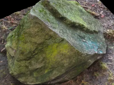 Reslistic 3d Scanned Mossy Rock Model 3D model