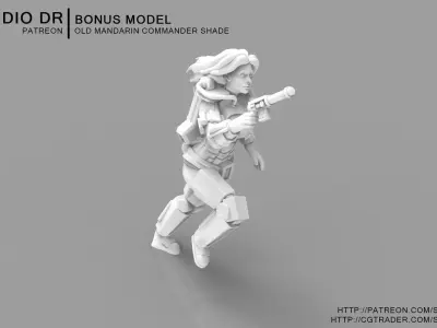 Old Mandarin Warrior  - Shade 3D print model