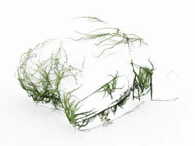 Climbed rattan - stone 01 3D model
