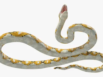  Reticulated Python Rigged for Maya 