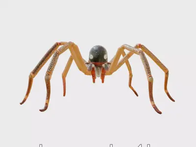 Monster Spider Hybrid with Human Face and Plasma Tails Low-poly 3D model