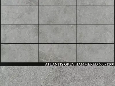 ABK Atlantis Grey Hammered 600x1200 3D model