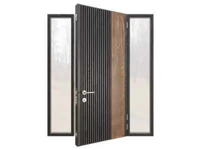 Entrance doors 3D model