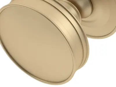 Berkeley Mortice Door Knob 3D model