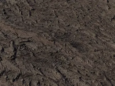 Volcanic Mud Ground Texture