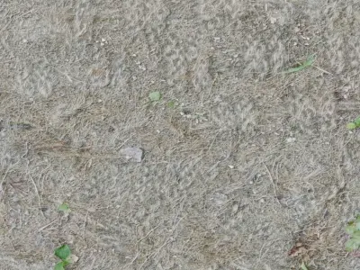 Road Surface 3D model