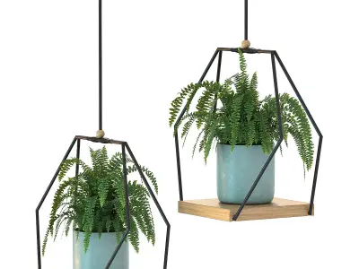 Hanging Plant 06 3D model