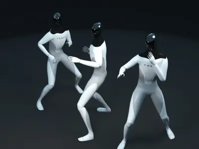 Tesla bot animation fighters Low-poly 3D model