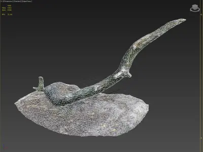 nature forest roots 004 3D model