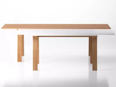 Mitis Rectangular 3D model