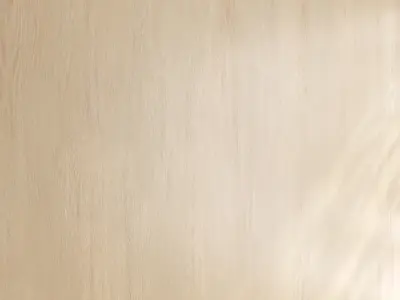 Wood material v01 Texture