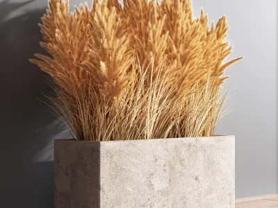 Indoor Plant Set 55  pampas 3D model