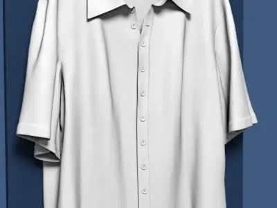 Shirt on wardrobe door 3D model