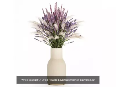 Collection 19 pcs bouquets dried flowers branches lavender set 3D Model Pack