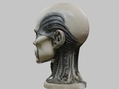 Portrait of a man HR Giger Style Human Head Bust 4 Low-poly 3D model
