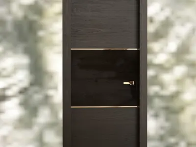 Door acrylic 3D model