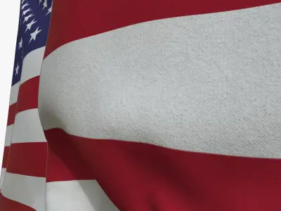  Realistic Animated Flag - Micro-Texture Rigged - Put Your Own Texture - Def USA 