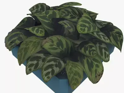Office Indoor Plant Low-poly 3D model