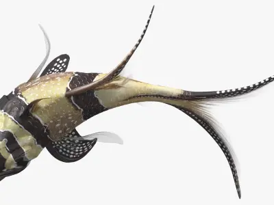  Coral Fish Rigged Collection 4 