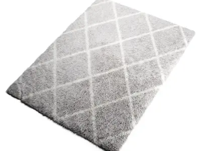 Rug Shaggy 200-150 3D model