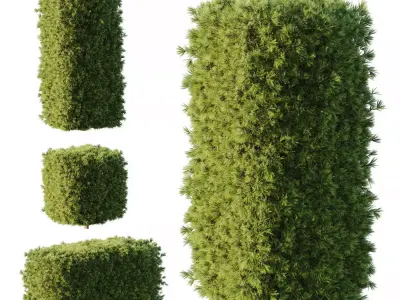 Excellent collection of Outdoor plants 50 Different Models 0046 3D Model Pack