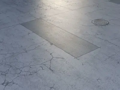 Editable Asphalt with cracks and patches 3D model