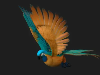 Parrot_A1