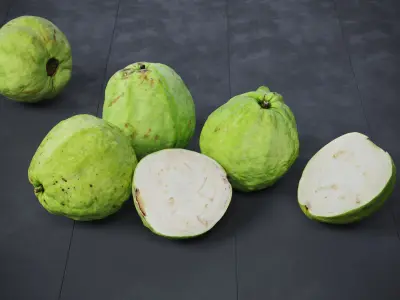 Guavas Green 6 Models
