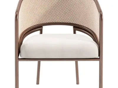 Rattan Spencer Dining Chair Walnut Wood 3D model