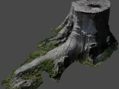Treetrunkbase tree stump with grass 3D model