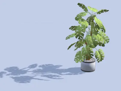 Houseplant in a pot Free low-poly 3D model