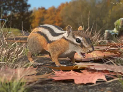  Tree-Dwelling Chipmunk Rigged for Cinema 4D 