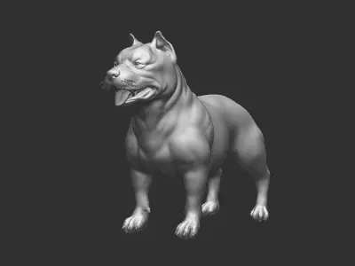 Pitbull Dog - Topology + UV Map