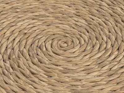 Toska Round Rug d120cm RendezVousDeco 3D model