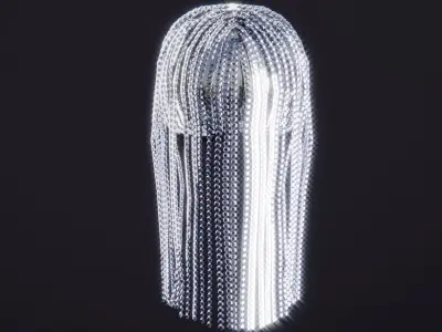 Diamond Wig 3D model