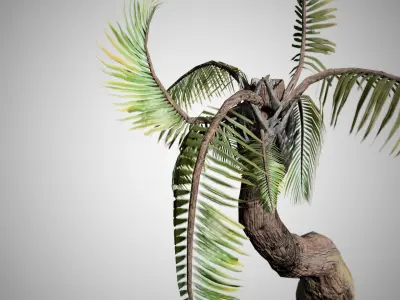 Beach Palm Tree Low-poly 3D model