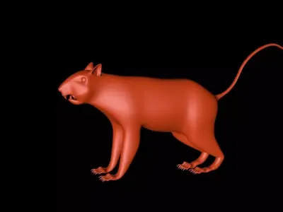 Squirrel 3D Model cat 3D model
