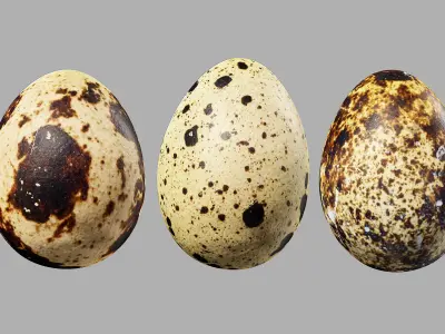 Three Quail Eggs - Photorealistic Scan Low-poly 3D model