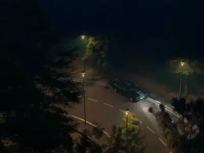 Forest 3d Scene 3D model