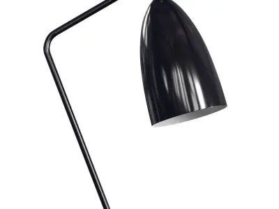 Grashoppa floor lamp by Gubi 3D model